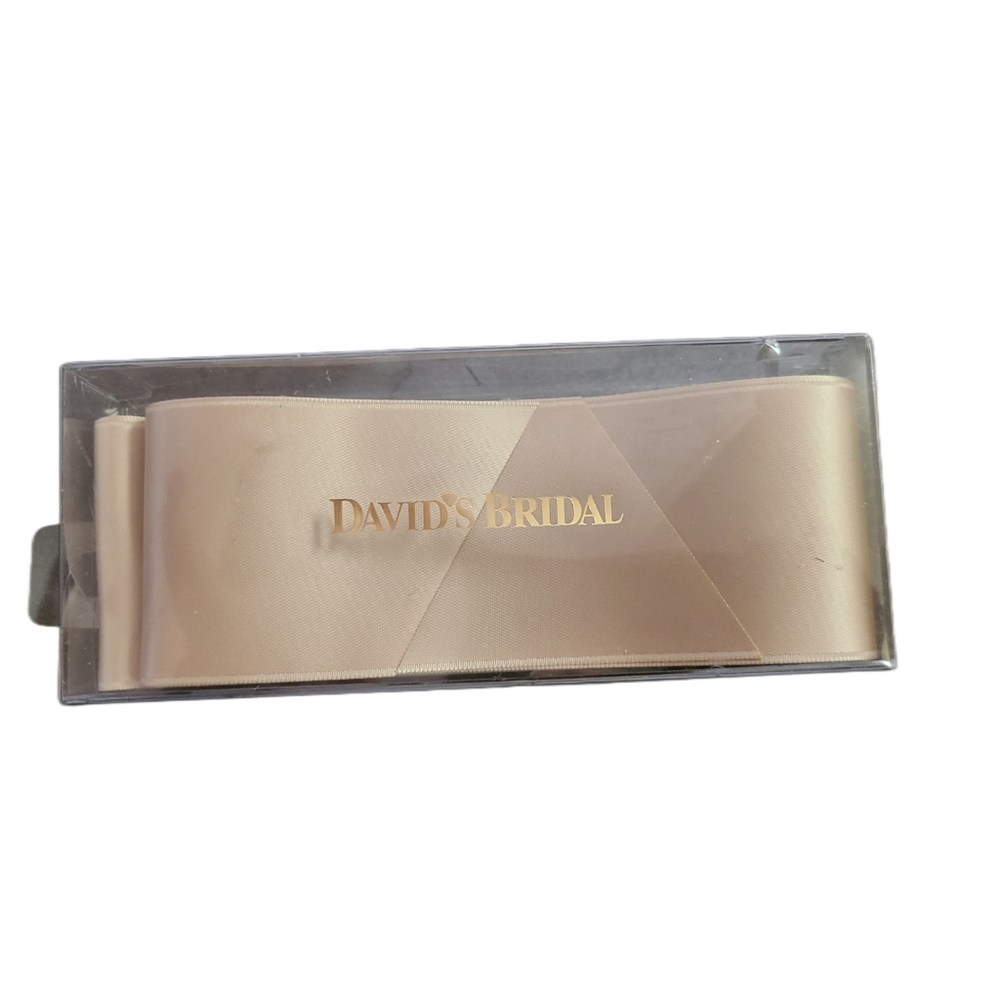 David's Bridal Ribbon Sash Champgne NIB